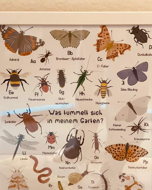 Lernposter mit Insekten – Natur entdecken im Zwergenwald Berlin